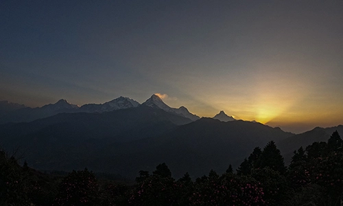 Ghorepani Poon Hill Trek