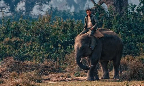 5-Day Nepal Tour: Kathmandu, Pokhara & Chitwan Jungle Safari